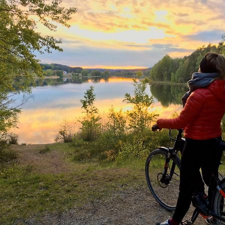 Ferienwohnung Schwalbennest Am Igelsbachsee アプスベルク エクステリア 写真