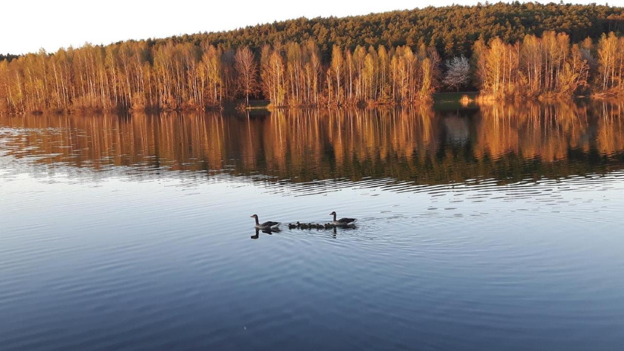 Ferienwohnung Schwalbennest Am Igelsbachsee アプスベルク エクステリア 写真
